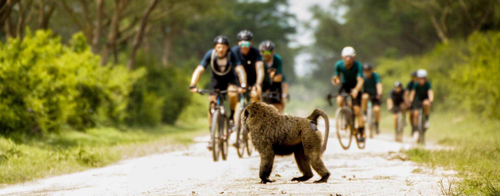 Epic cycling through savannahs and jungles
