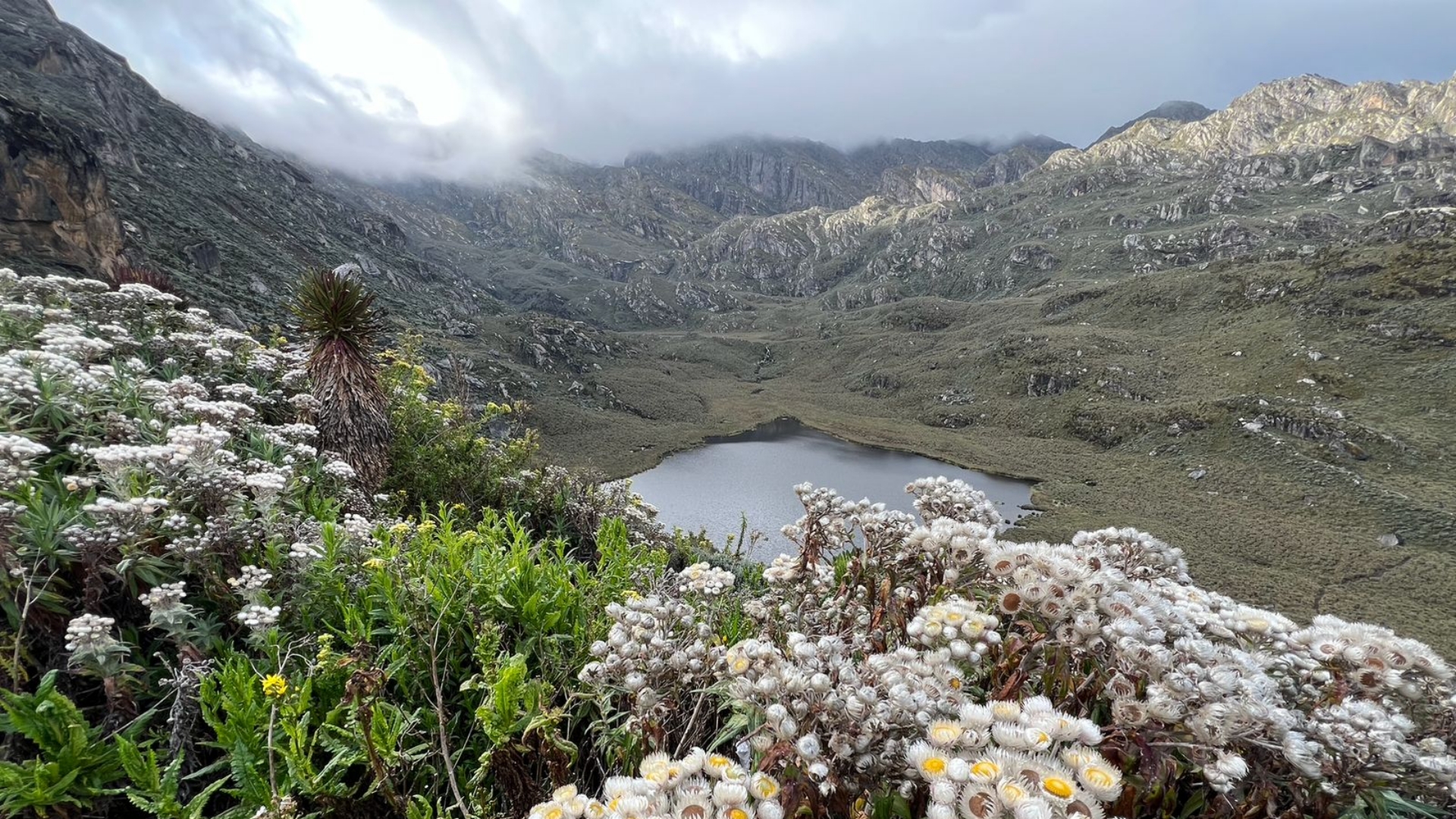 Cmbine breathtaking panoramic views and adventurous safari walks
