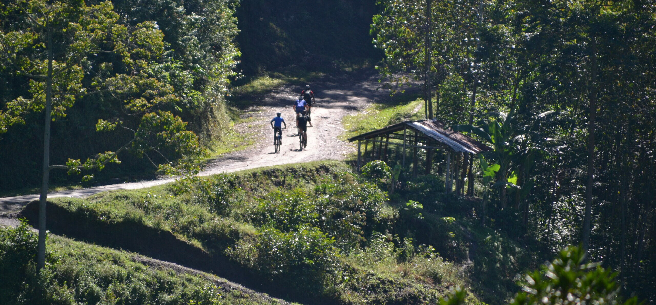 ride in a world of amazing natural wonders