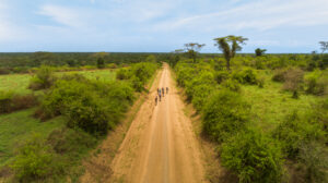 Safari in the wild during your cycling holiday in Africa