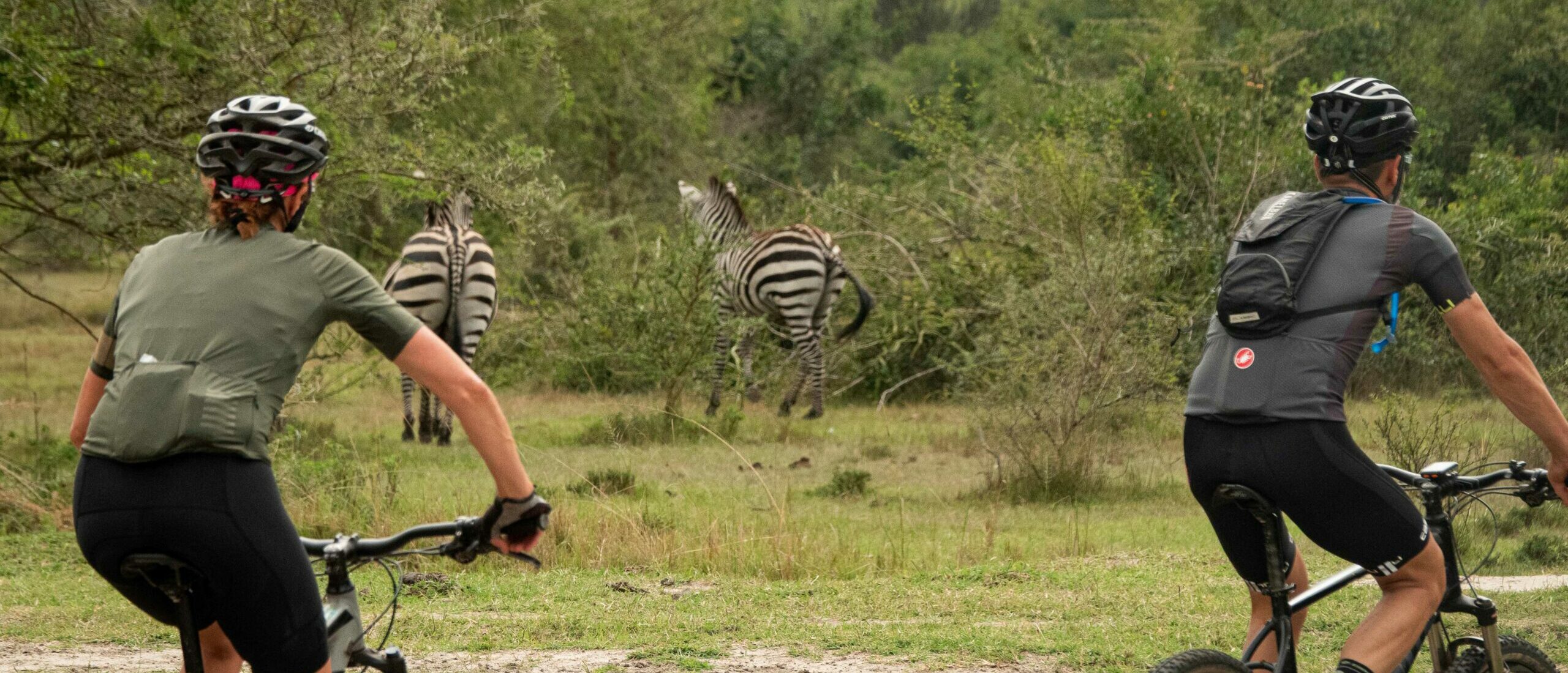 Cycling safari alongside Uganda’s majestic wildlife