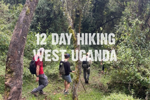 menu for 12 days hiking adventure in west uganda
