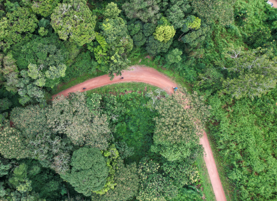 Aerial view of cyclists riding on the red dirt trails in a jungle in Uganda